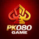 pk080 icon