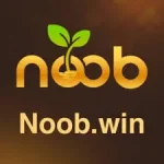 NOOBWIN