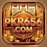 PKR656 icon